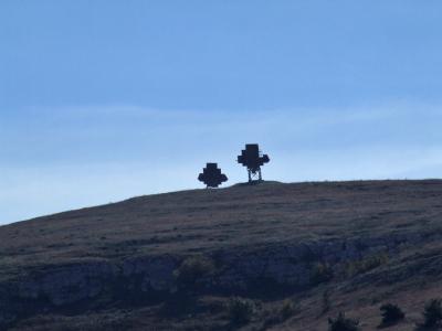 Прикрепленное изображение: DSCF5849.jpg